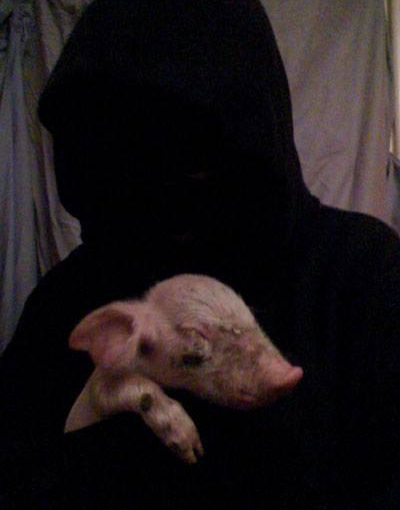 El Frente de Liberación Animal libera un cerdo de la Universidad de la Plata en Argentina