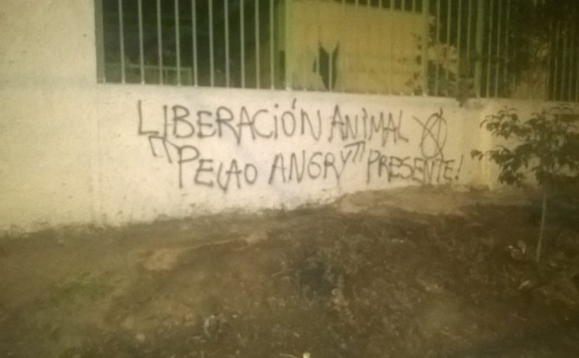 Frente de Liberación Animal sabotea  varios establecimientos en Santiago de Chile