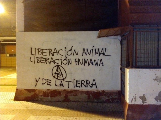 Pintadas por la Liberación Animal en  Madrid