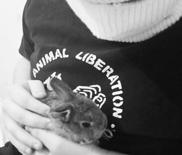11 Conejos liberados por el Frente de Liberación Animal en Suecia.