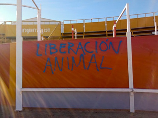 Pintadas contra la tauromaquia dentro de una plaza de toros en España.