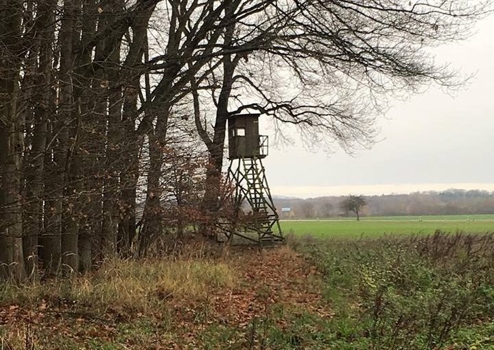 Tres torres de caza destruidas y vía de tren saboteada en el bosque de Hambach (Alemania).