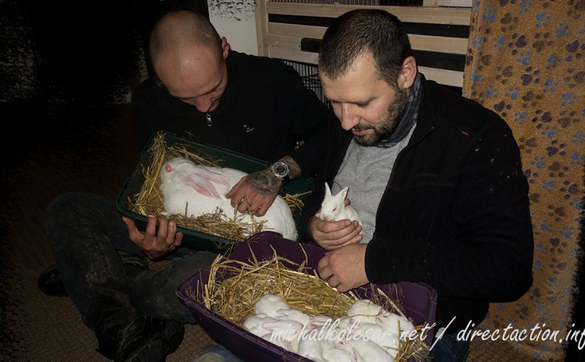 11 conejos liberados en solidaridad con Walter Bond en la República Checa.