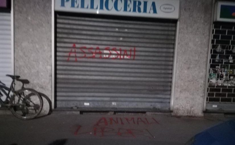 Varias tiendas peleteras saboteadas en Italia.