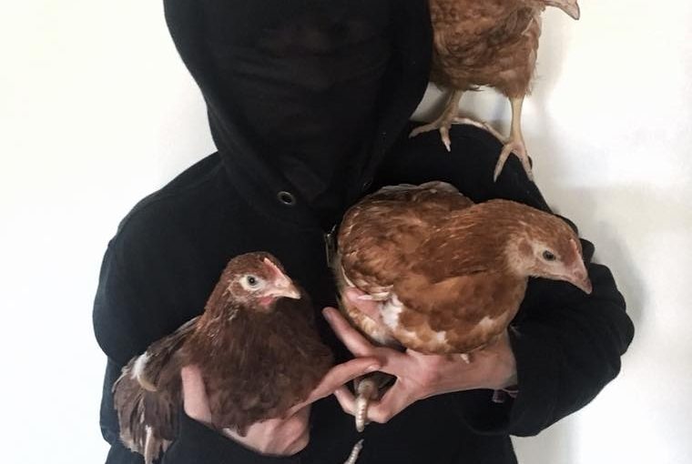 3 pollos liberados en solidaridad con Rojava en Reino Unido.