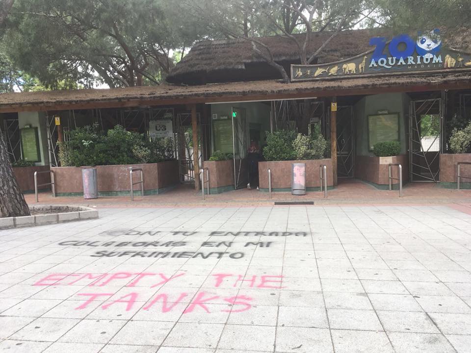 Pintadas en Zoo y Acuario en España.