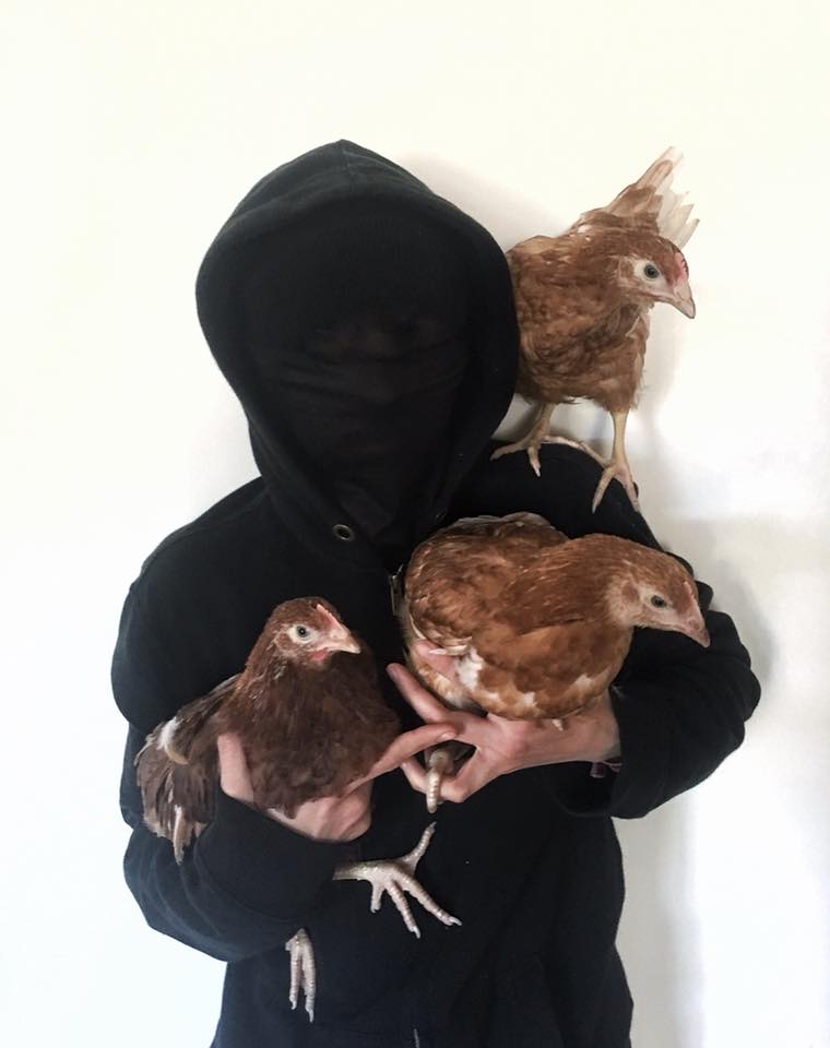 Pollos liberados en solidaridad con Rojava en Reino Unido.