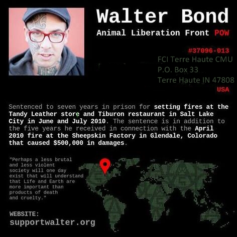 Walter Bond