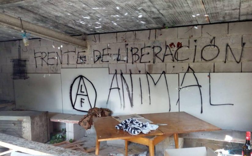 El Frente de Liberación Animal ataca puestos de caza de palomas en Añorbe (Navarra).